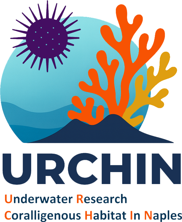 Progetto URCHIN