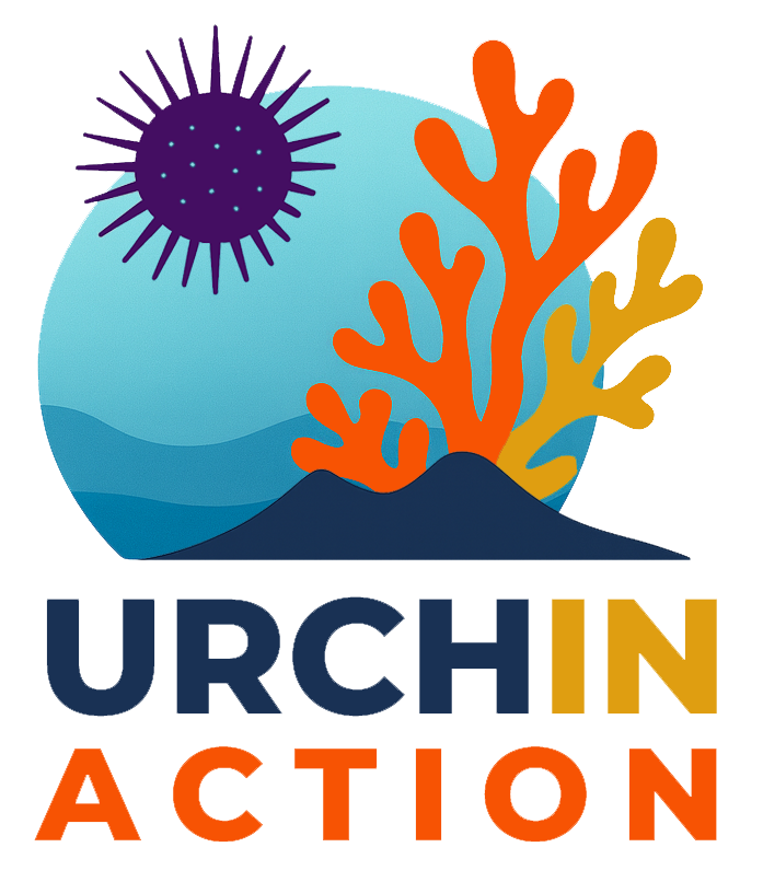 Urchin Action