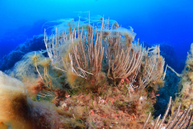 Cambiamenti climatici