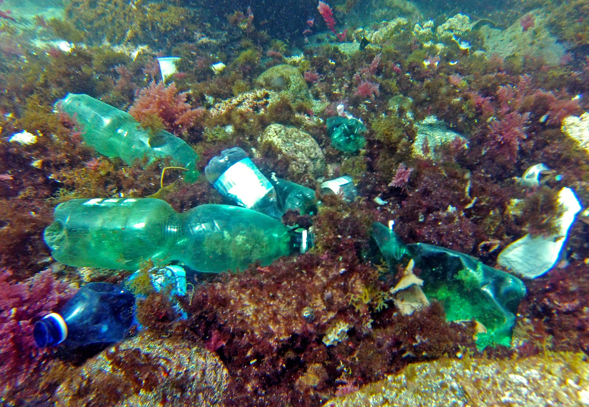 Plastiche e rifiuti urbani